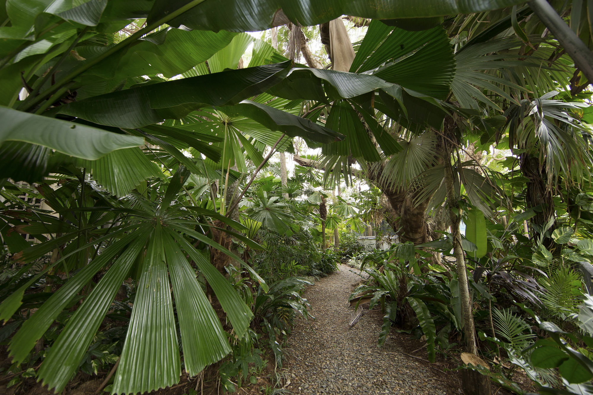 Castaways Resort & Spa On Mission Beach Eksteriør billede